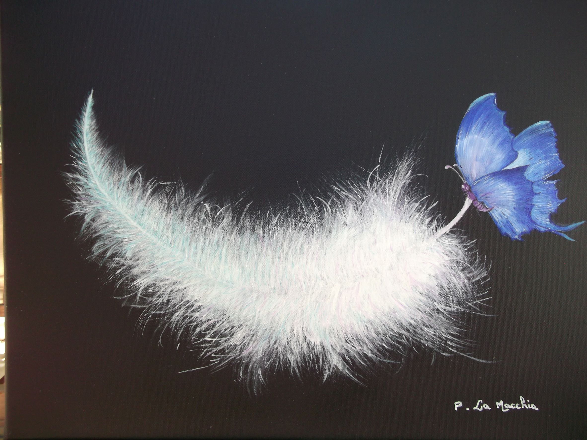 papillonpierre